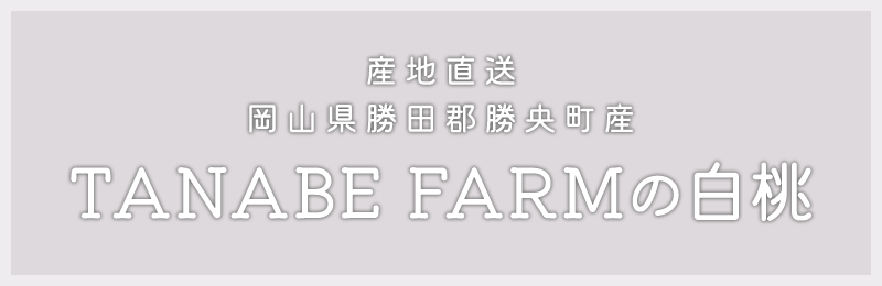 産地直送岡山県勝田郡勝央町産TANABE FARMの白桃